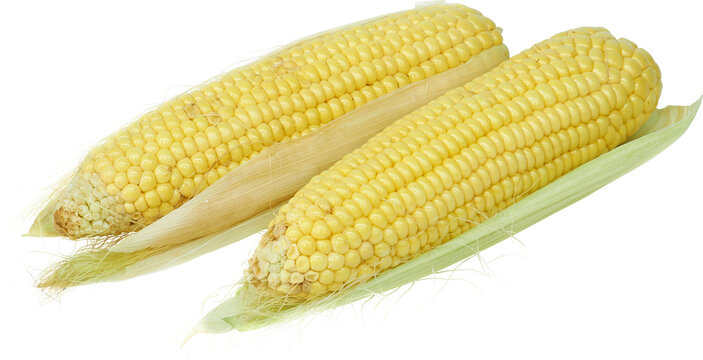elotes