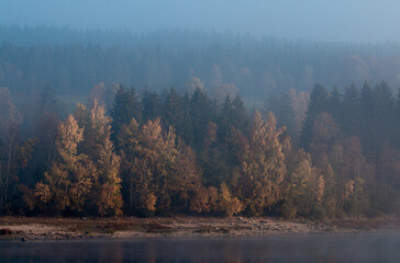 Herbststimmung im Wald am Schluchsee im Schwarzwald