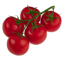 branch of ripe tomatoes, ripe red tomatoes