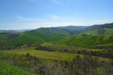 colline di predappio alto erba tagliata con striscie di diverso colore del manto erboso