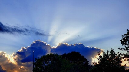 SKY AND FOREST AND NATURE...