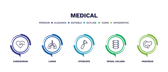 set of medical thin line icons. medical outline icons with infographic template. linear icons such as cardiogram, lungs, otoscope, spinal column, pancreas vector.