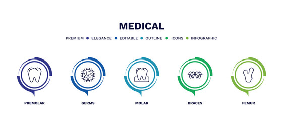 set of medical thin line icons. medical outline icons with infographic template. linear icons such as premolar, germs, molar, braces, femur vector.