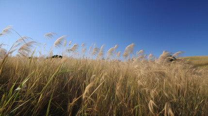 Obraz premium grass and sky generative ai