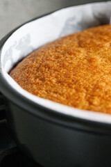 Honey Cake Close Up