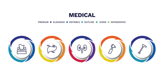 set of medical thin line icons. medical outline icons with infographic template. linear icons such as tissue paper, liver, kidney, otoscope, walking stick vector.