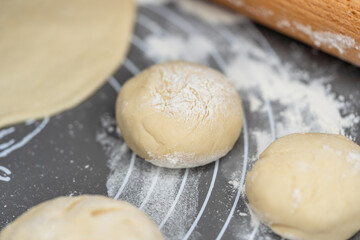 Fototapeta na wymiar Homemade sourdough for Indian Naan Flatbread made with Wheat flour, vegan
