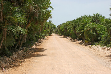 Obraz premium Tulum Mexico’s Yucatán Peninsula Jungle Road