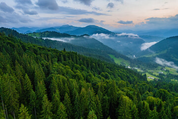 Aerial view of beautiful mountain forest covered with fluffy clouds.