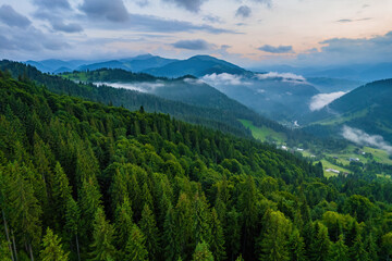 Fototapeta premium Aerial view of beautiful mountain forest covered with fluffy clouds.