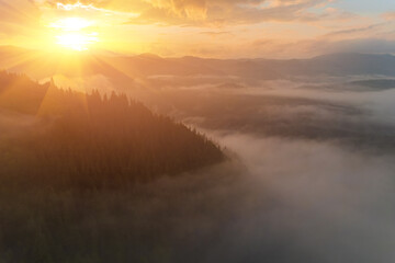 Mountains in clouds at sunrise in summer. Aerial view of mountain peak with green trees in fog. Beautiful landscape with high rocks, forest, sky.