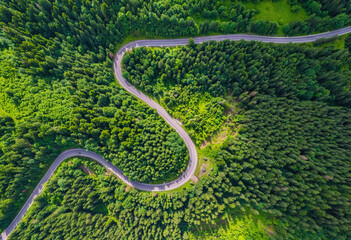 Winding road trough dense pine forest. Aerial drone view