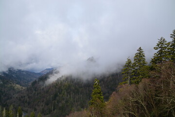 fog on the mountain