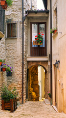 Plants and flowers in pots on narrow streets of the ancient village, Italy