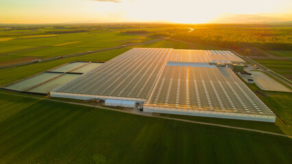 AERIAL Big glasshouse for hydroponic vegetable production in golden sunset light - obrazy, fototapety, plakaty