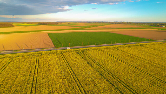 AERIAL: White car driving along the countryside asphalt road among yellow fields © helivideo