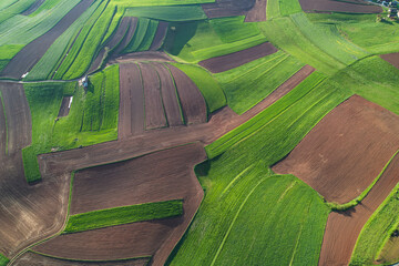 AERIAL TOP DOWN: Patterned patches of lush green meadows and plowed farm area