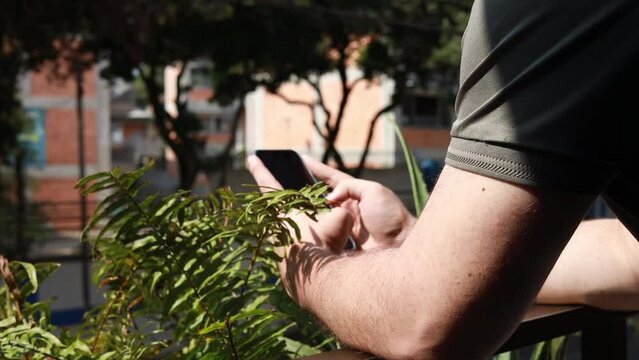 white male leaning on the balcony next to some fern leafs while surfing through his phone on a sunny afternoon