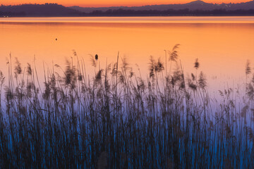 Pusiano lake at the sunset - 585944574