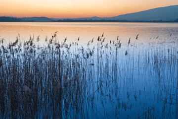Pusiano lake at the sunset - 585944582