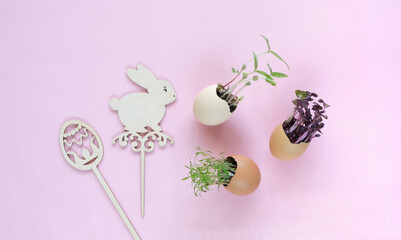Wooden figurines of a rabbit and an Easter egg. Germinated micro-green seeds in an eggshell. The concept of Easter. Pink background, top view, flat layout.