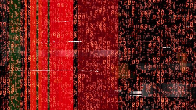 Computer code and data numbers
