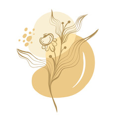 Aesthetic Abstract Floral