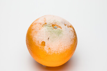 Naranja con moho debido a una herida