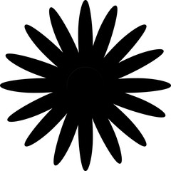 flower design illustration isolated on transparent background