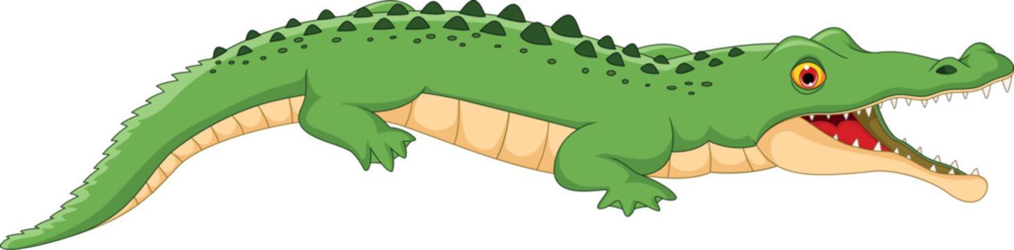 Crocodile Cartoon Posing