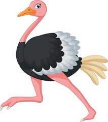 illustration of ostrich cartoon concept