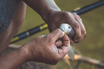 Man taking the hook out of the mouth of a fish that has just fished,fishing concept