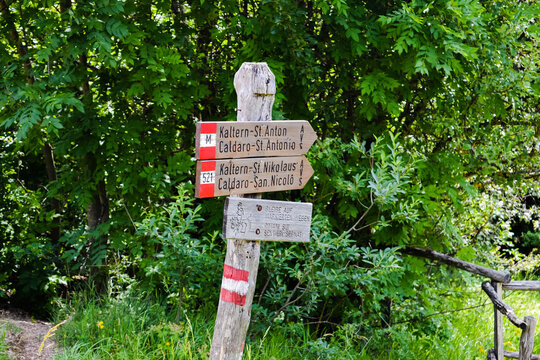wooden signpost on a hiking trail at pass mendola in South Tyrol, Italy