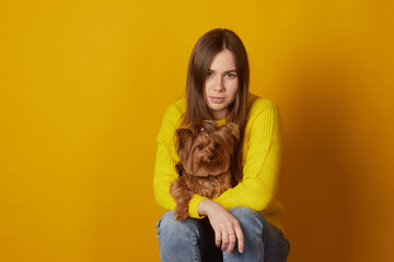 young girl with a dog Yorkshire terrier on a yellow clean background