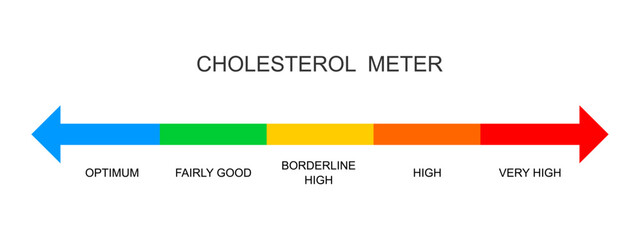Cholesterol meter horizontal scale. Lipoprotein levels from optimum to very high. Atherosclerosis, hyperlipidemia, hypercholesterolemia risk colorful chart. Vector flat illustration