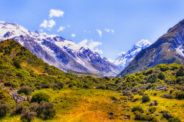 NZ Mt Cook Green vale to rocks