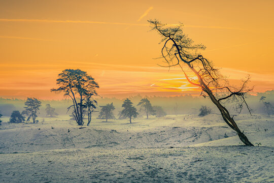 Klondike Bilder Durchsuchen 20,579 Archivfotos, und