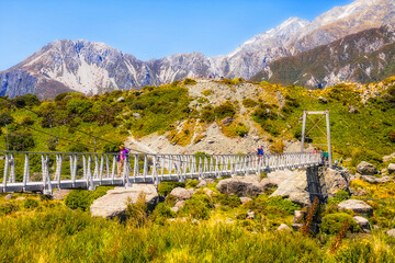 NZ Mt Cook Bridge Grass