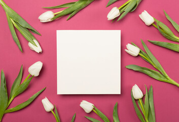 White tulips on color background, top view. Greeting card mockup