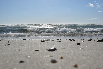 Fototapeta na wymiar seagulls on the sand