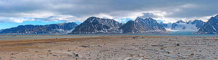Stark Landscape in the High Arctic