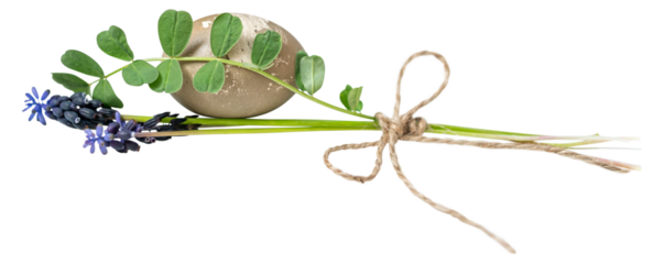 png. Mouse hyacinth and Easter egg. Small bouquet on a white background. wooden surface. Muscari. spring flowers.