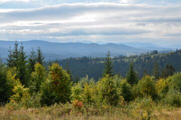 Beautiful view of the picturesque mountain ridge, forest, grassy valley under cloudy sky. Wild nature and mountains of the Carpathians, Ukraine