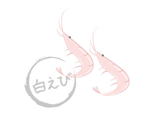 水彩テイストの、富山名産白エビ