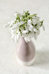 Vase with beautiful snowdrops on white background