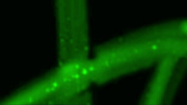 4K Overlay scribble particles animation. Screen Overlay for music video, video effect, viral effect, VFX