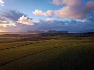 Naklejka na ściany i meble Green fields by sunny day near Stromness, Orkney Islands, Scotland