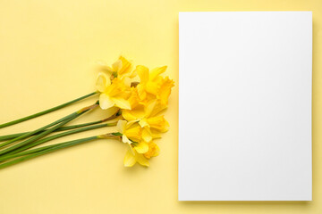 Beautiful narcissus and rectangular blank card on color background