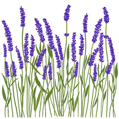 Glade of spring purple flowers. Background with bright blue flowers. Illustration of flowers in a meadow.