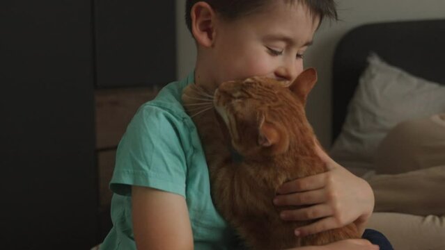 Little boy having fun with his kitten sitting on the bed, cat licking his face. Domestic cat. Friendship concept. Happy family kid concept.